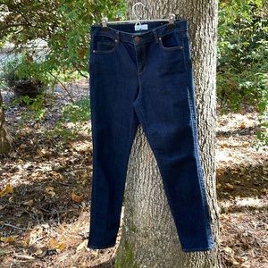 LOFT Denim Blue Jeans